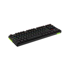 Клавиатура Rapoo V500PRO-87