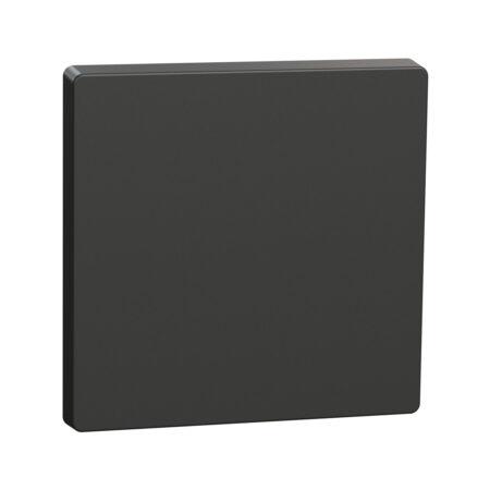 Клавиша MERTEN MTN3300-6034 D-Life 1-ная антрацит