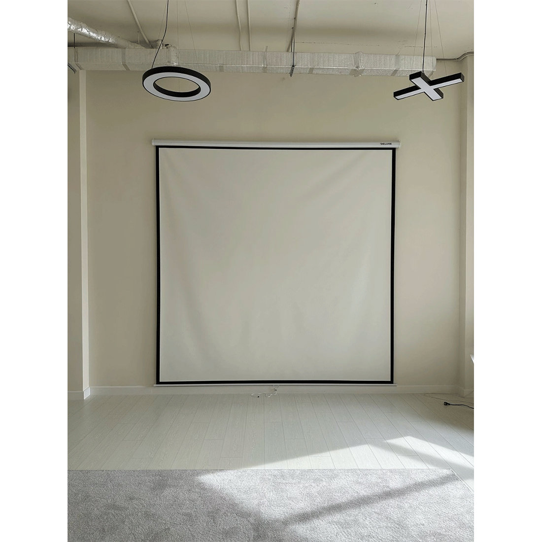 28481y_1.jpg Экран Deluxe DLS-M305W (120"х120"), Ø - 170", Раб. поверхность 297х297 см., 1:1