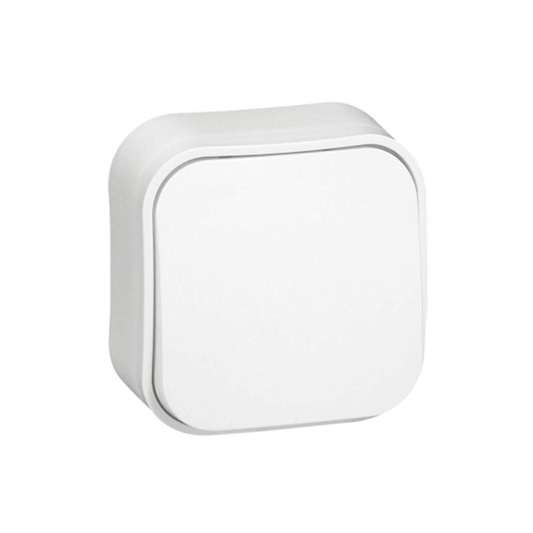 59727_1.jpg Выключатель Legrand Forix 10A 250В IP20 накладной белый