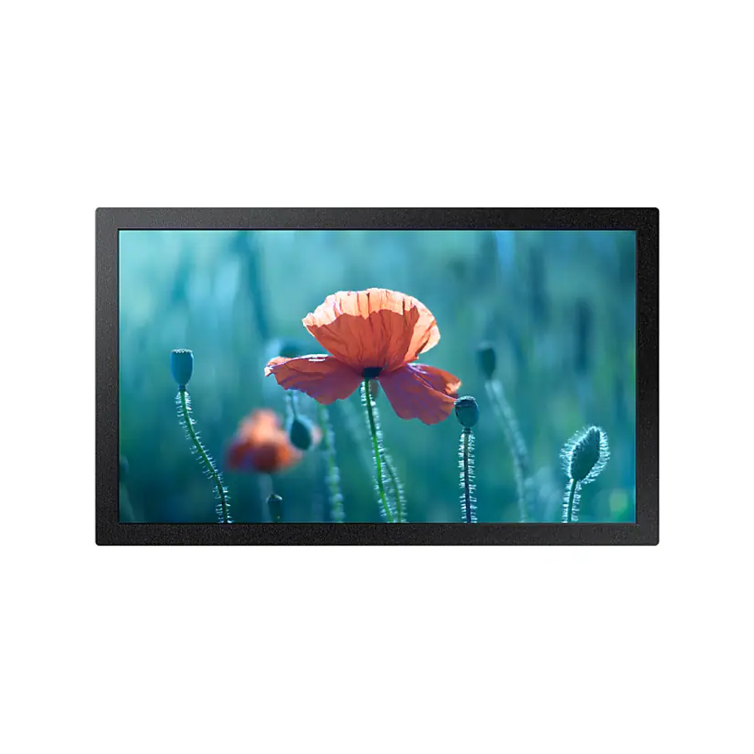 67743_1.jpg Профессиональный дисплей Samsung QB13R-T 13"