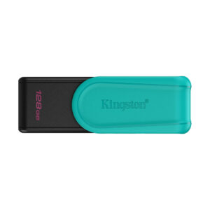 USB-накопитель Kingston DTXS/128GB 128GB