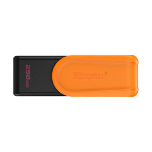USB-накопитель Kingston DTXS/256GB 256GB