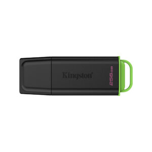 USB-накопитель Kingston DTXG2/256GB 256GB Чёрный/Зелёный